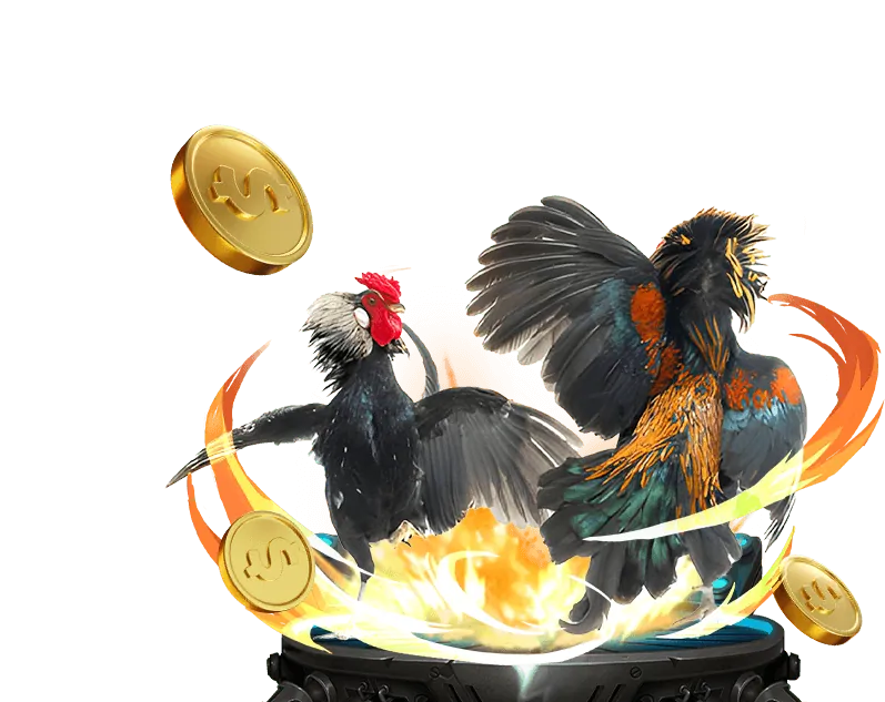 Hình ảnh tổng quan về chương trình đối tác vn68