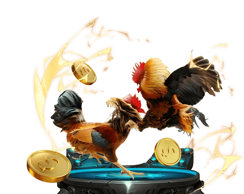 Hỗ trợ khách hàng 24/7 vn68